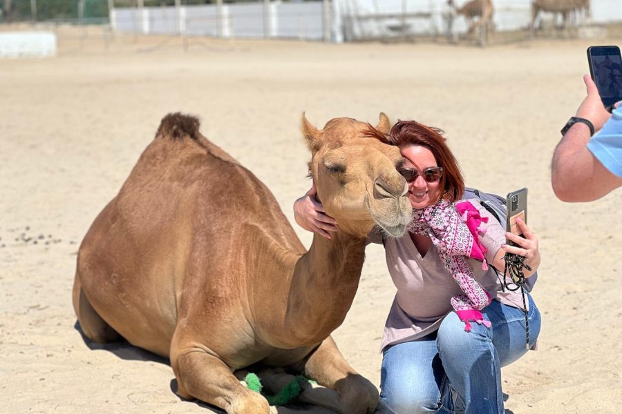 Half-Day Bahrain Desert Tour: Tree of Life, Camel Farm & UNESCO Fort